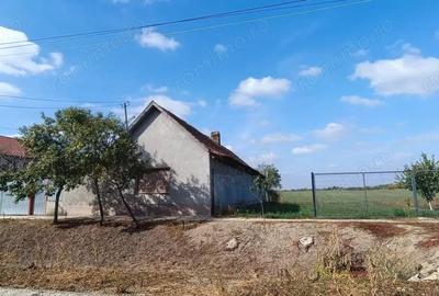 Casa de vanzare Variasu Mare- pret redus- 34.700 euro - 4