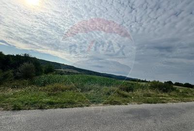 Teren spectaculos de vanzare in Draghici - 4