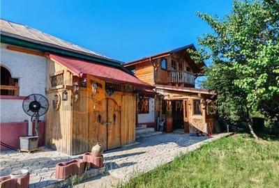 Teren intravilan + casa zona Fintesti - 12