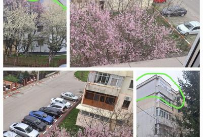 Apartament cu 3 camere decomandat în Central - 3
