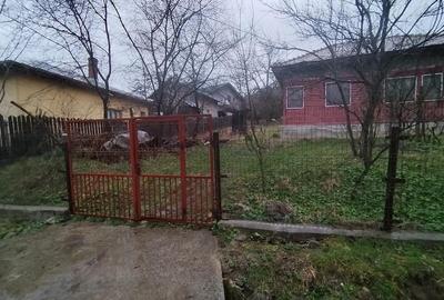 Casă cu Teren 2649 Mp în Vărbila - 3