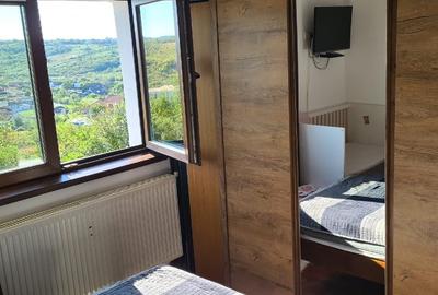 Casă individuală cu 2 camere cu Teren 1500 Mp în Paleu - 11