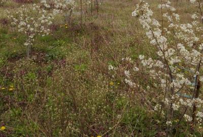 Proprietar ofer spre vanzare Proprietar ofer spre vanzare - 9