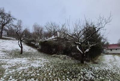 Coas, cabana, 28 ari teren - 4