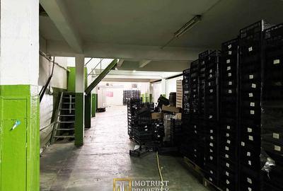 Hala industriala de inchiriat - 760 mp, Arad (Gradiste/Sere) - 3