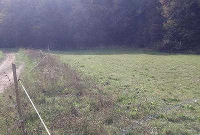 Teren de 5600 mp, în Nord