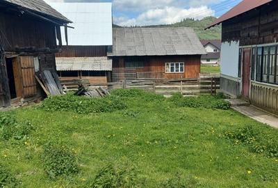 Spre vanzare proprietate Manastirea Humorului - Suceava - Bucovina - 9