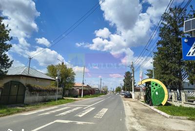 Teren de 3000 mp, în Cernica - 4