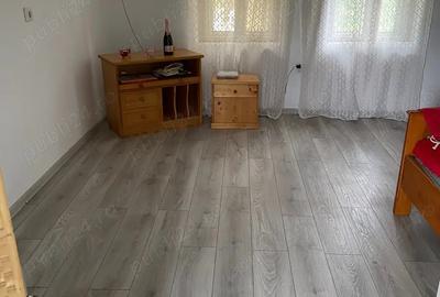 Casa de vanzare uileacu de beius - 4