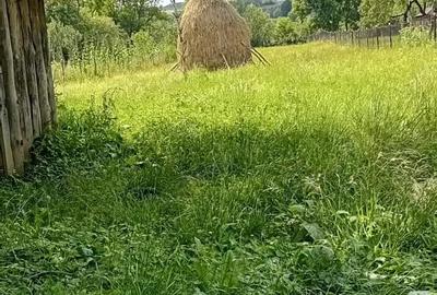 Casă cu 3 camere cu Teren 20000 Mp în Groși - 3