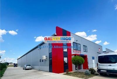 Inchiriere hala depozitare Parc Industrial TBM Rudeni Inchiriere hala depozitare Parc Industrial TBM Rudeni - 8