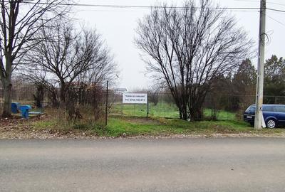 Vânzare teren 6000 mp în orașul Măgurele - 7