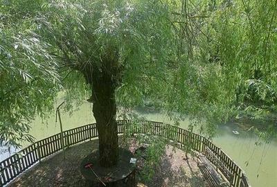 RECO, Cabana pe apa in Padurea Neagra, Bihor - 11