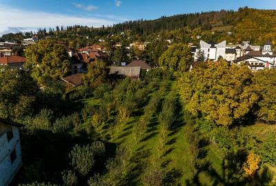 Vanzare teren investitie retail in Gura Humorului - Bld. Bucovinei - 20