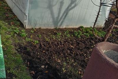 Casă cu Teren 800 Mp în Central