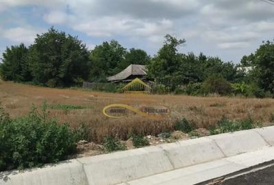 Teren de 5400 mp, în Filipești - 4