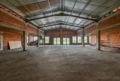 Sala de evenimente cu  piscina si foisor Biled COMISION 0 % CUMPARATOR - 33