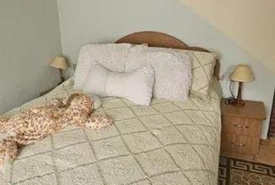 Casa de vanzare , Bradu - 8