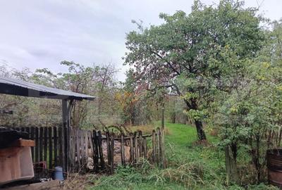 Casa renovabila, cu un teren 2000 m, intr-o zona linistita - 3