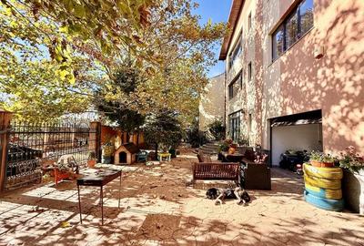 Duplex 14 camere Pantelimon Cernica 864 mp desfasurati - 6