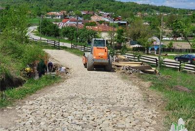 Casa de vanzare in Stanomiru  Judetul Valcea cu un teren in suprafata de 320000 - 6