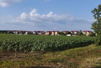 Teren de 5000 mp, în Moara Vlăsiei