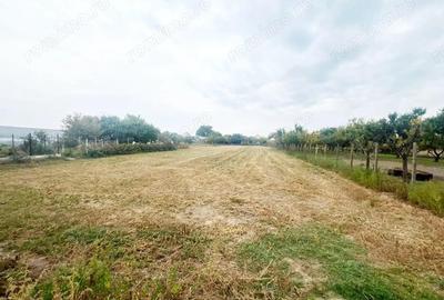 Casa de vanzare cu 3 camere in Biharia, Oradea - 2