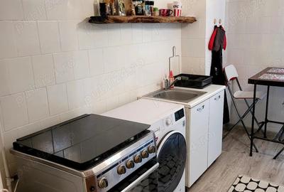 Apartament de inchiriat cu 2 camere, decomandat, et.1, TINERETULUI-PIATA NORILOR - 7