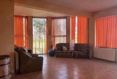 Vila Branesti Islaz foarte spatioasa stradala-ideal afacere - 6