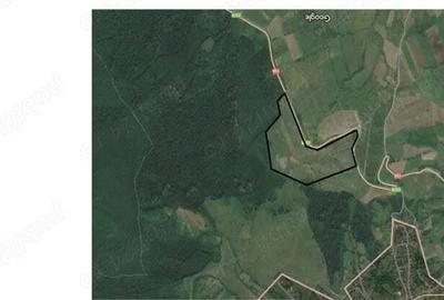 Vand teren agricol 22 ha - 1