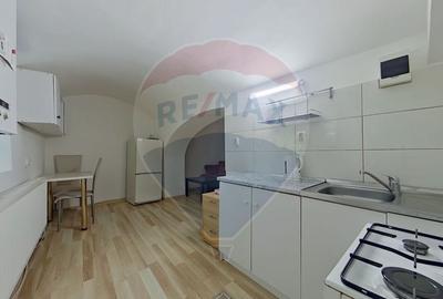 Apartament cu 1 camere de inchiriat || Strada Clinicilor || UMF - 7