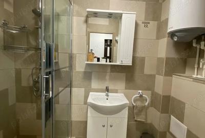 Apartament 1 camera la cheie - 5
