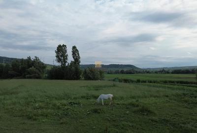 Teren de 3953 mp, în Fălticeni - 13
