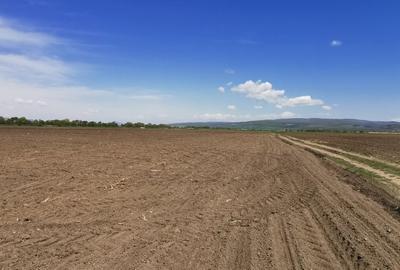 TEREN AGRICOL DE VANZARE - BOD - BRASOV 4,5 HA - 4