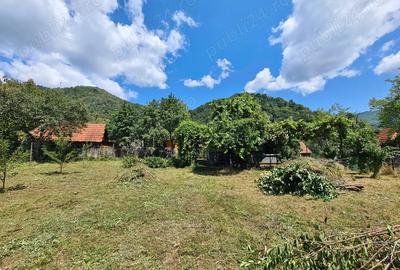 Casa de caramida in Hondol jud. Hunedoara - 6