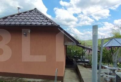 Casa+ casa vacanta, 2200 mp livada, Schitu-Duca - 4