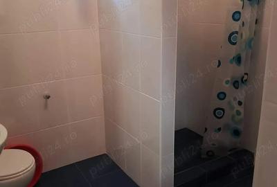 Casa de vacan?a, deosebita, sat Salard com Lunca Bradului Tel - 6