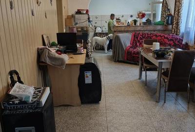 Casă cu 2 camere cu Teren 3000 Mp în Central - 2