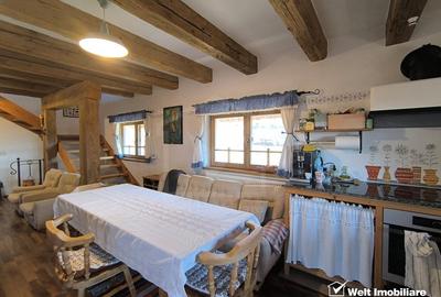 Casa rustica, exclusivista, 5 camere, 170 mp utili, 550 mp teren, Salicea - 17