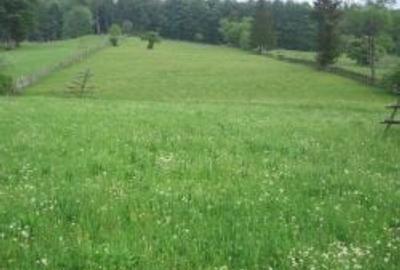 Teren intravilan situat in Traiteni,Valea Doftanei