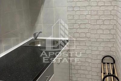 Garsoniera renovata, etaj intermediar, zona Buziasului - 3