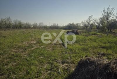 Teren Construcții intravilan de 530 mp, în Albota - 2