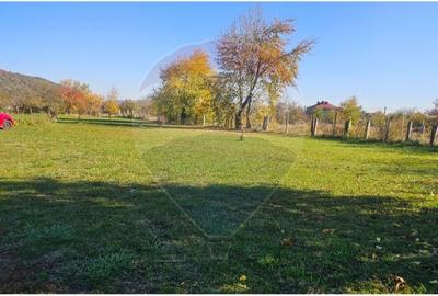 Casa / Vila cu 5 camere de vanzare - 55