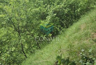 Teren de 800 mp, în Central - 7