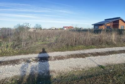 Domnesti, padurea Teghes - 2