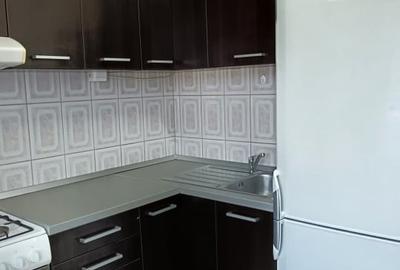 APARTAMENT CU O CAMERA-LA 5 MINUTE DE FSEGA/IULIUS MALL - 10