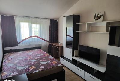 Apartament cu 2 camere decomandat, mobilat în Șagului