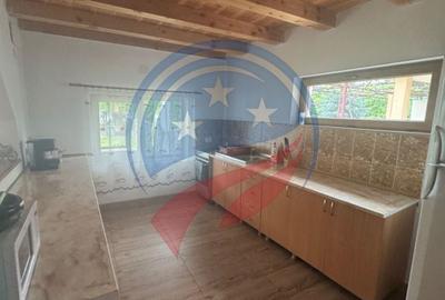 Casă individuală cu 5 camere cu Teren 450 Mp în Dubova - 15