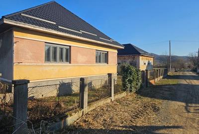 Casă cu 3 camere cu Teren 2300 Mp în Borza - 2