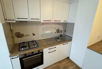 Apartament cu 2 camere decomandat, mobilat în Vasile Alecsandri - 5